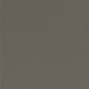 Meet your Posher, Aneysa